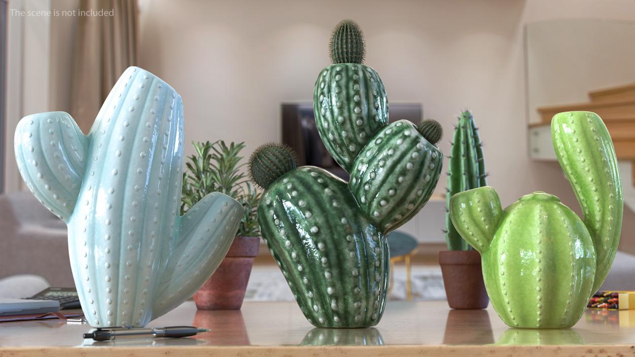 3D Cactus Vases Set