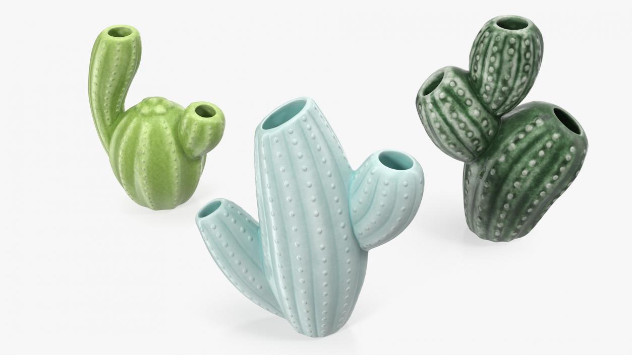 3D Cactus Vases Set