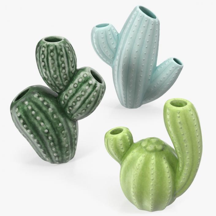 3D Cactus Vases Set