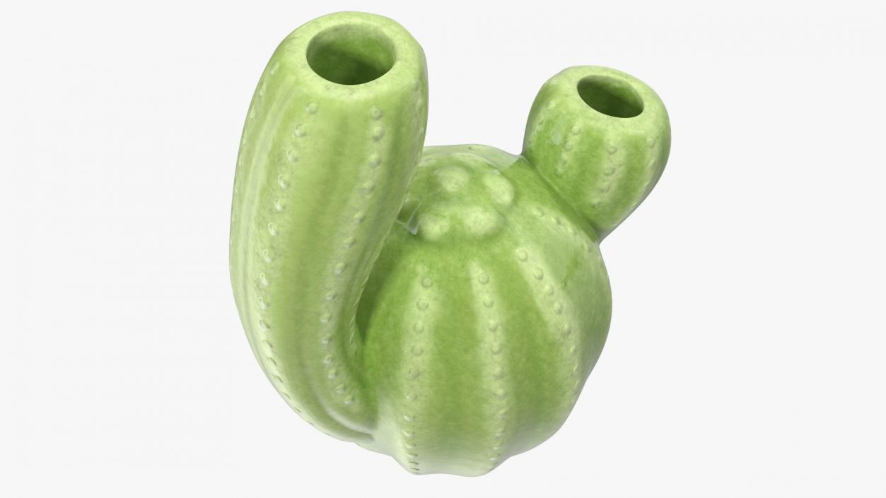 3D Cactus Vases Set