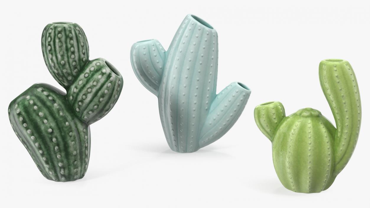 3D Cactus Vases Set