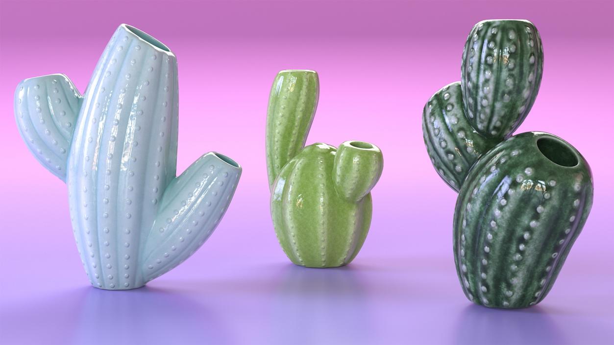 3D Cactus Vases Set