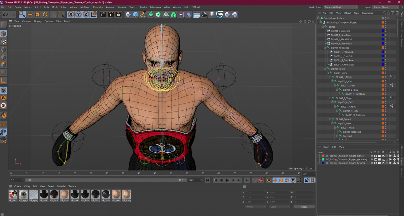 3D model IBF Boxing Champion Rigged for Cinema 4D