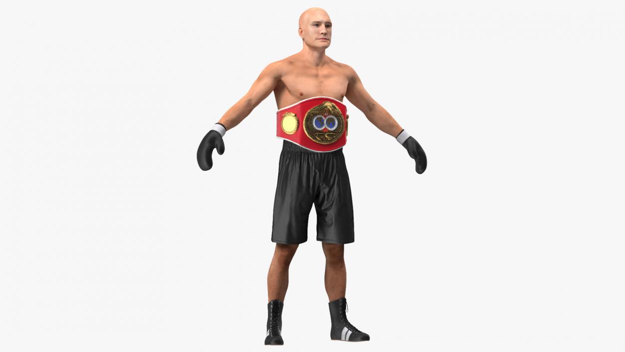 3D model IBF Boxing Champion Rigged for Cinema 4D