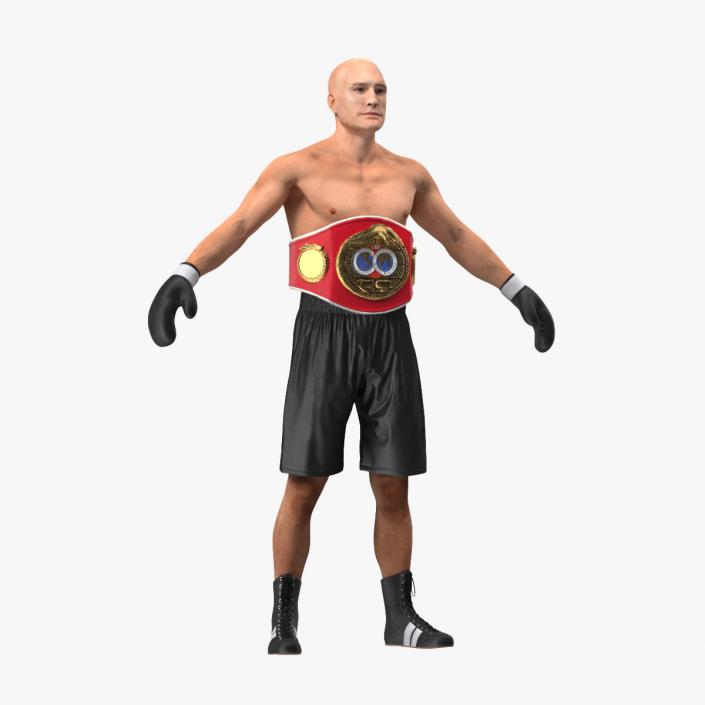 3D model IBF Boxing Champion Rigged for Cinema 4D