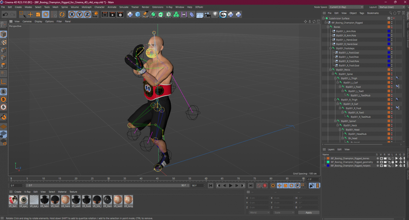 3D model IBF Boxing Champion Rigged for Cinema 4D