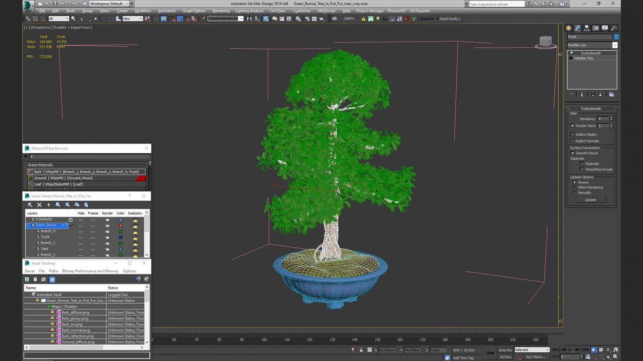 3D Green Bonsai Tree in Pot Fur model