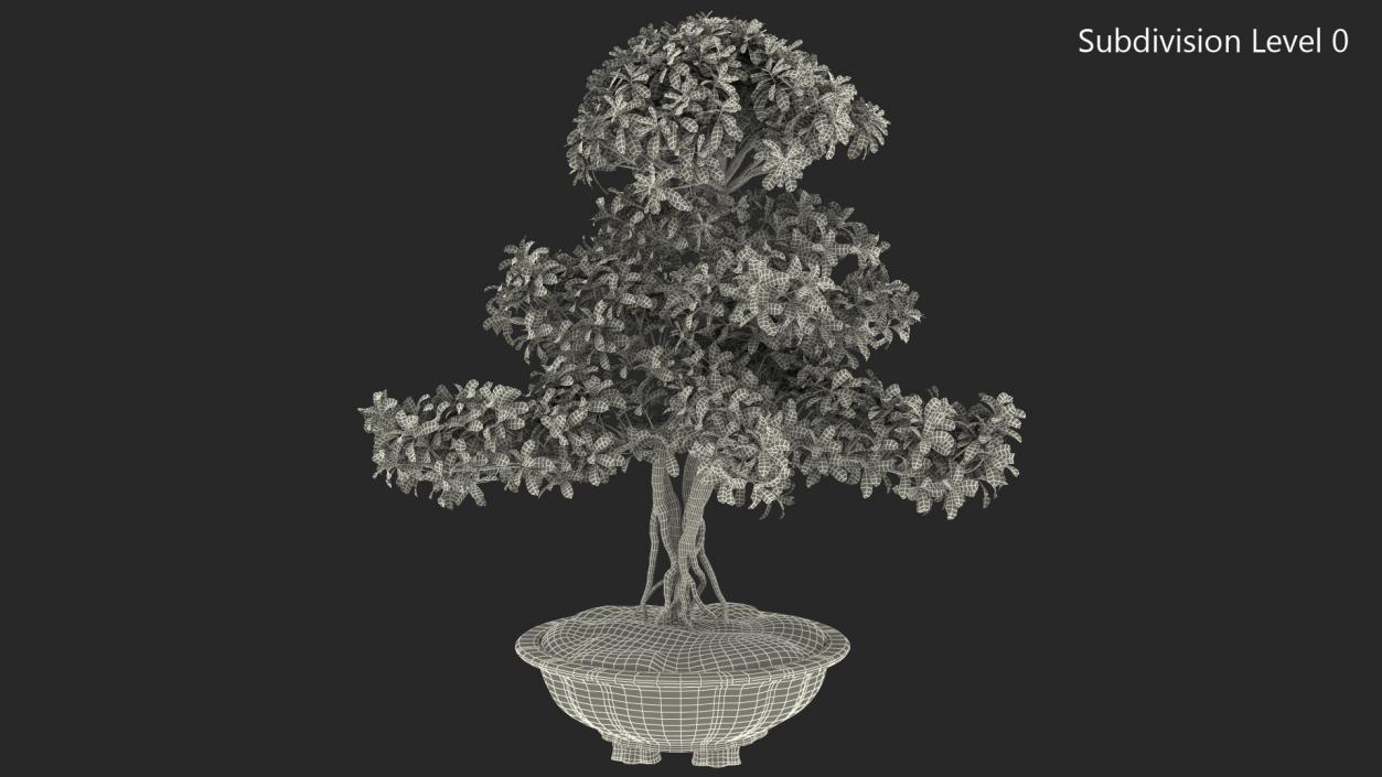 3D Green Bonsai Tree in Pot Fur model