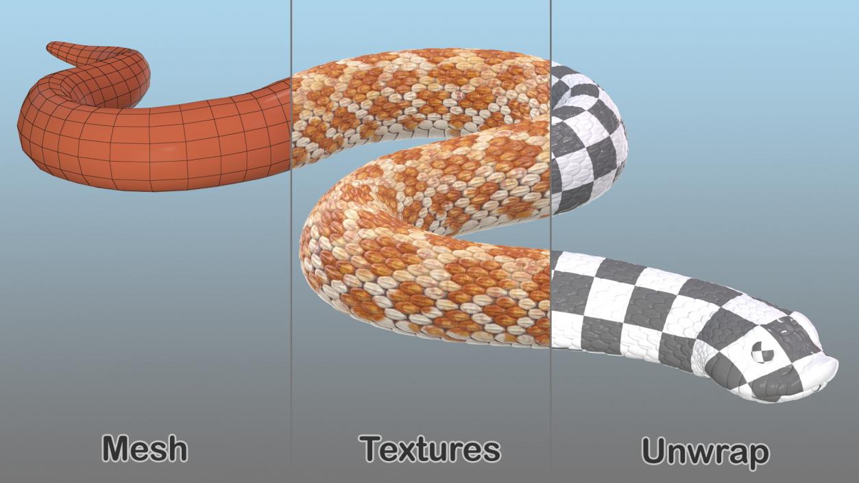 Hognose Snake Crawling 3D