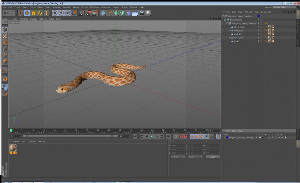 Hognose Snake Crawling 3D