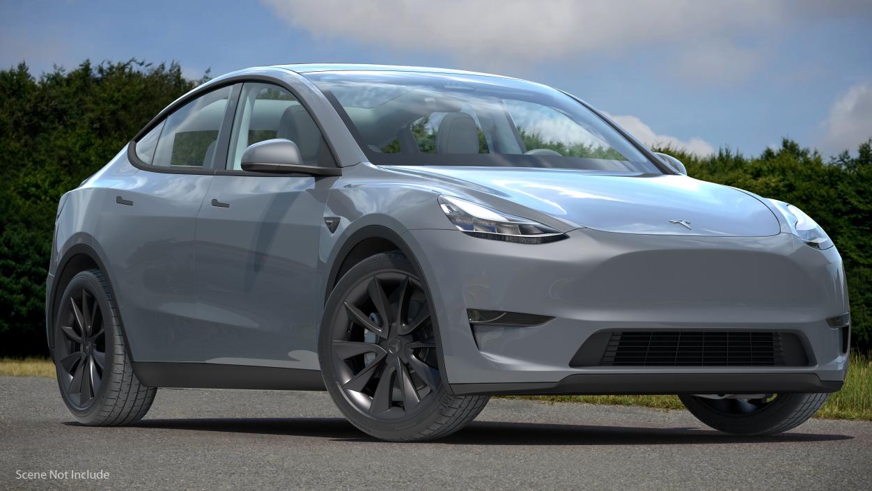 3D Tesla Model Y Silver Rigged for Cinema model