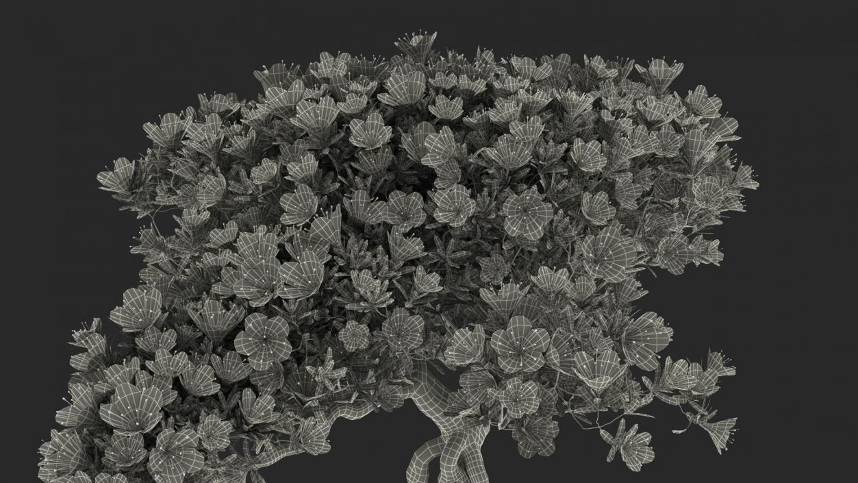 Miniature Bonsai Tree with Flowers 3D model