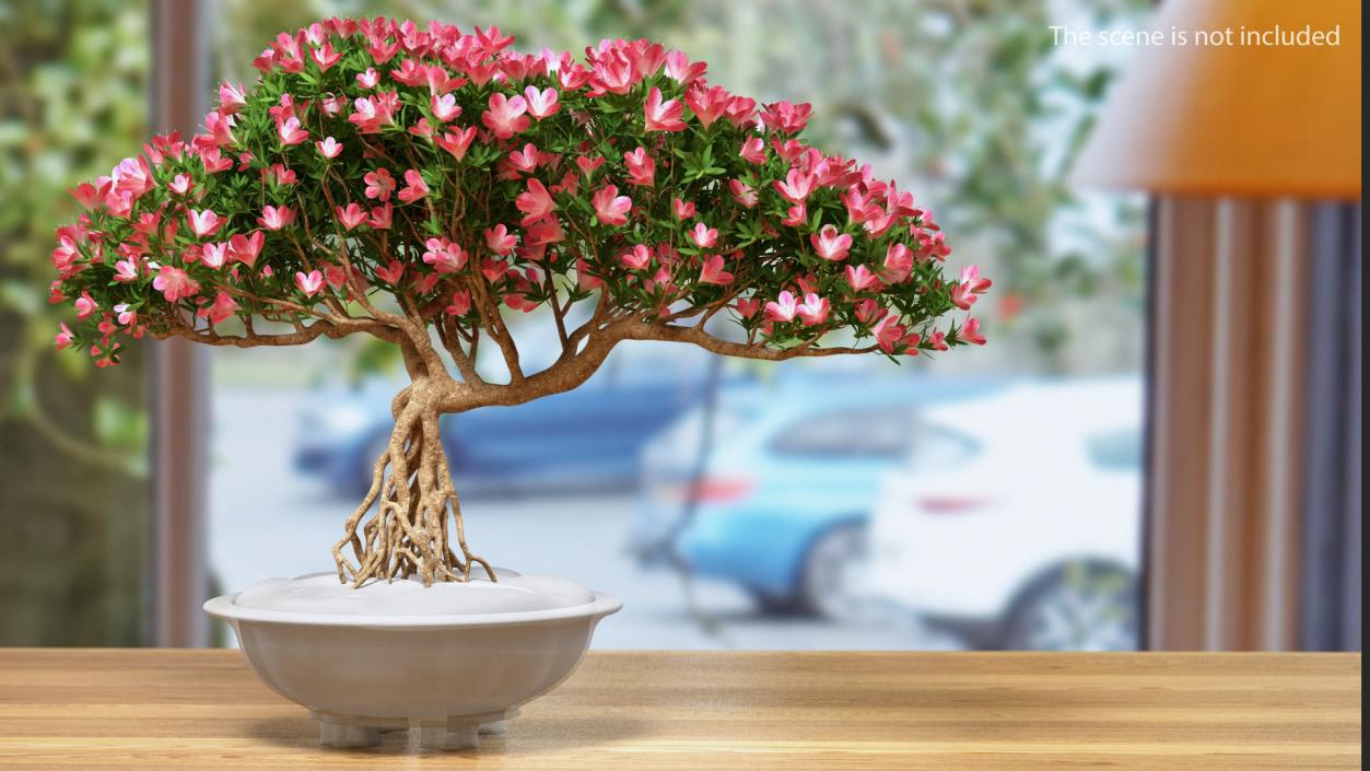 Miniature Bonsai Tree with Flowers 3D model