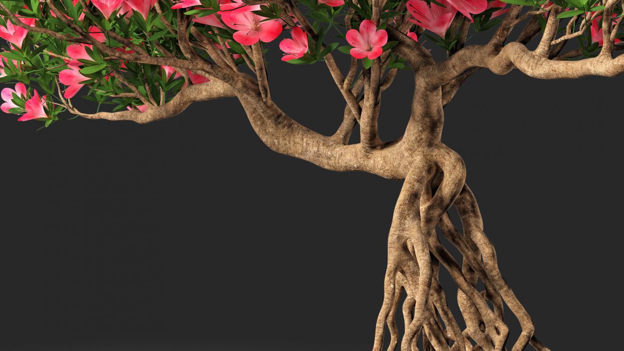 Miniature Bonsai Tree with Flowers 3D model