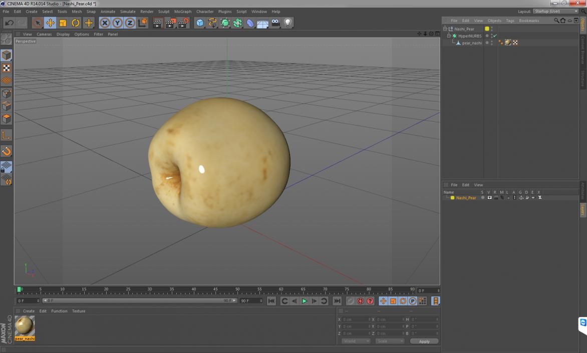 3D model Nashi Pear