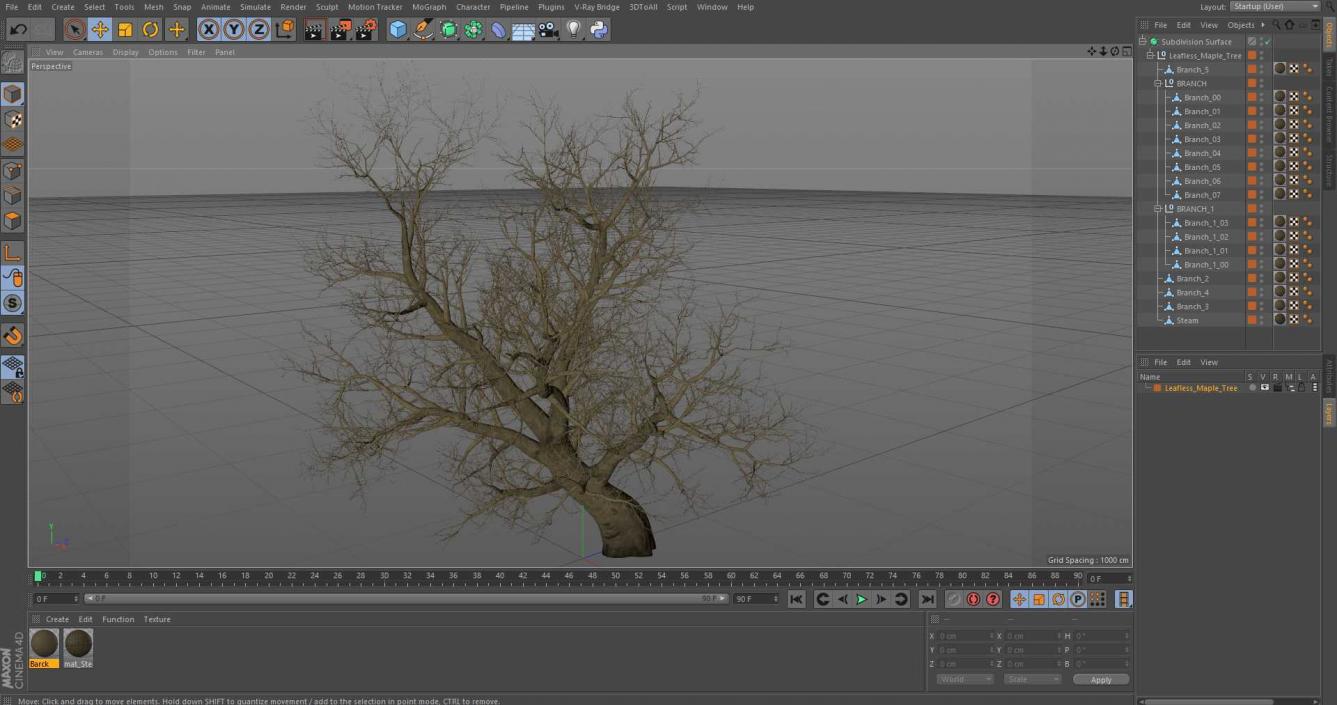 Leafless Maple Tree 3D model