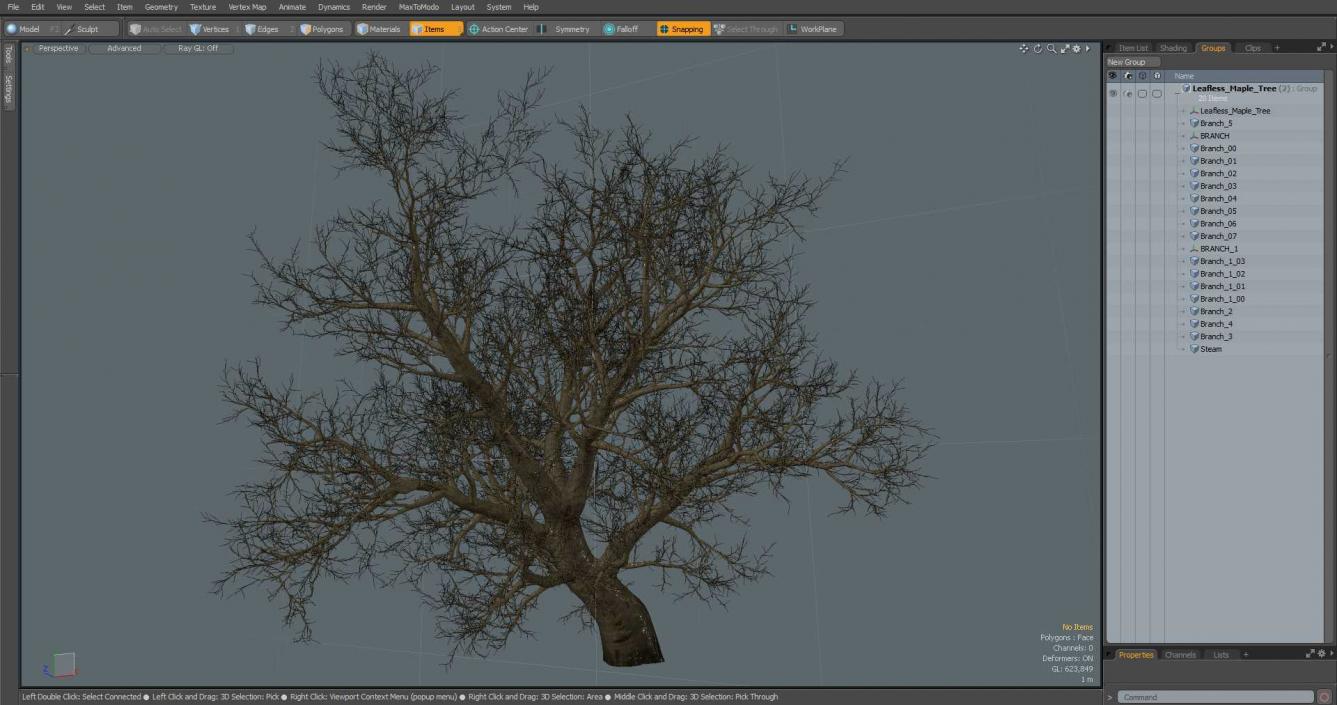 Leafless Maple Tree 3D model