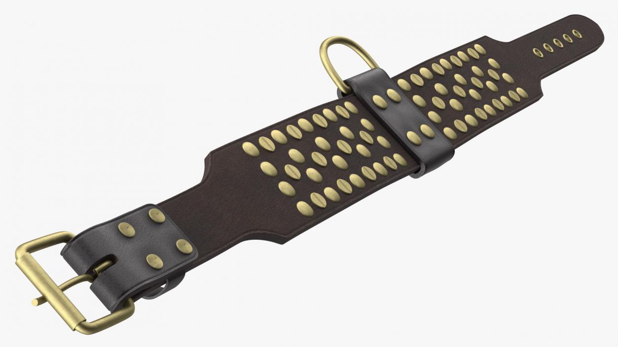 Leather Studded Collar Lying Brown 3D model