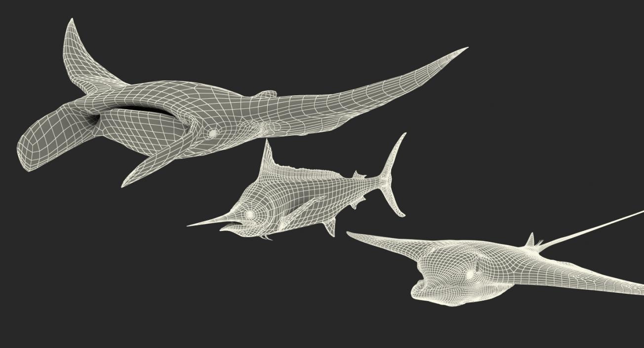 Fishes Collection 3D