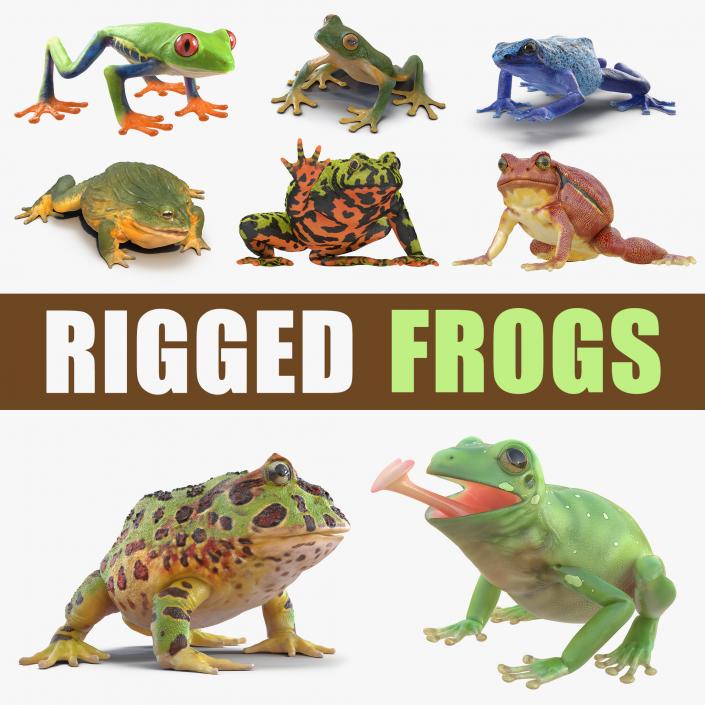 3D Rigged Frogs 3D Models Collection model