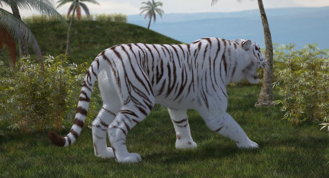 3D model White Tiger Roar with Fur