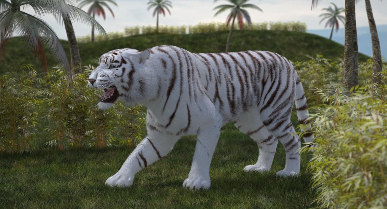 3D model White Tiger Roar with Fur