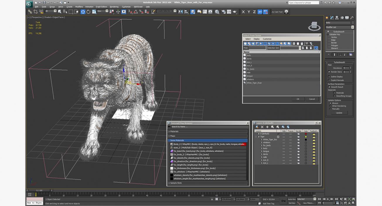 3D model White Tiger Roar with Fur