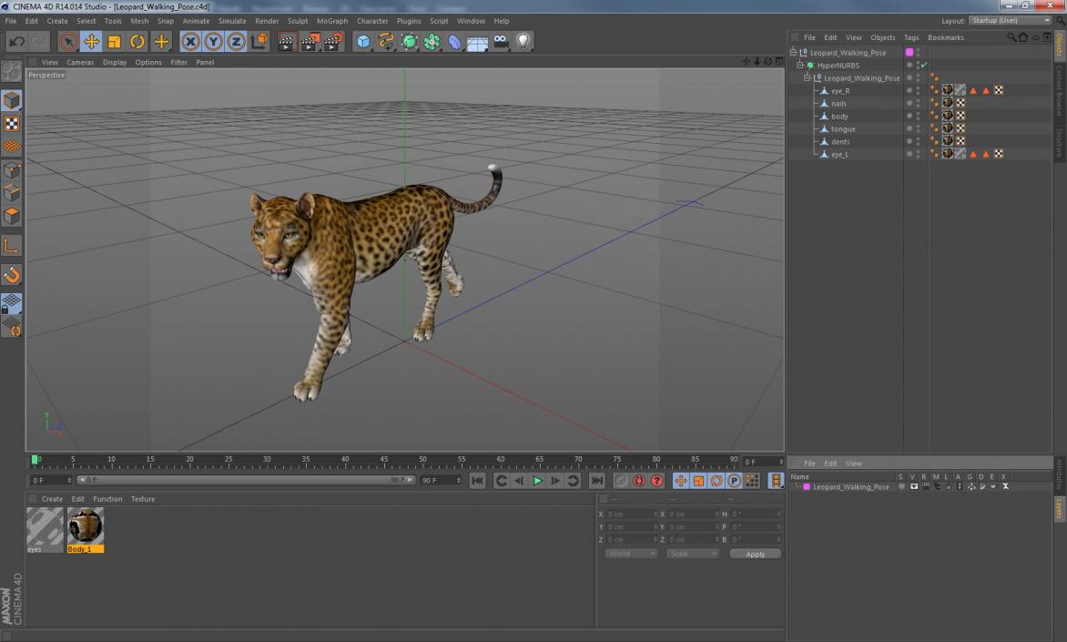 3D model Leopard Walking Pose