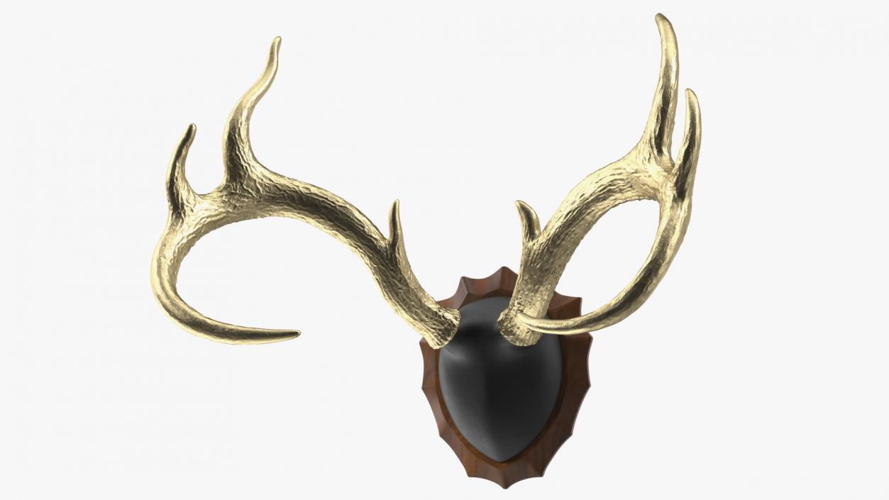 3D model Gold Plated Stag Antlers on a Wall Mount