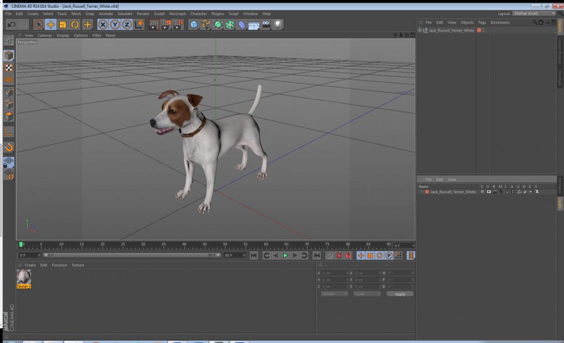 3D Jack Russell Terrier White