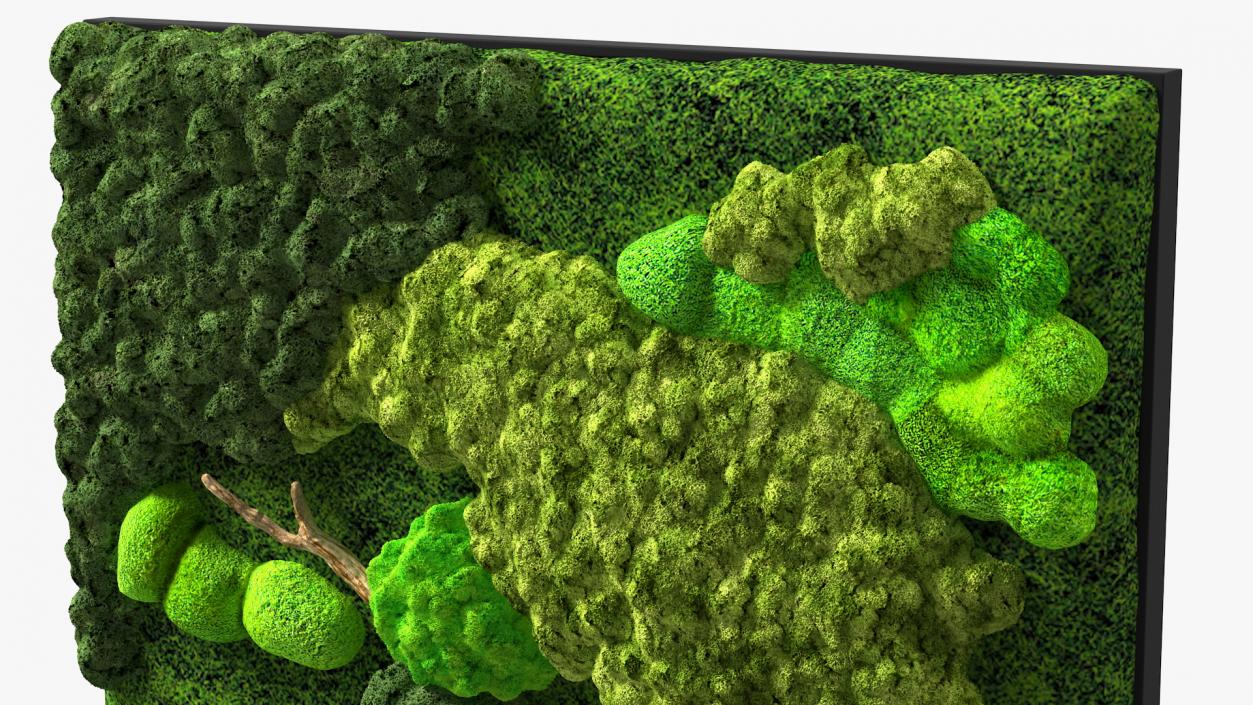 3D model Decorative Moss Wall