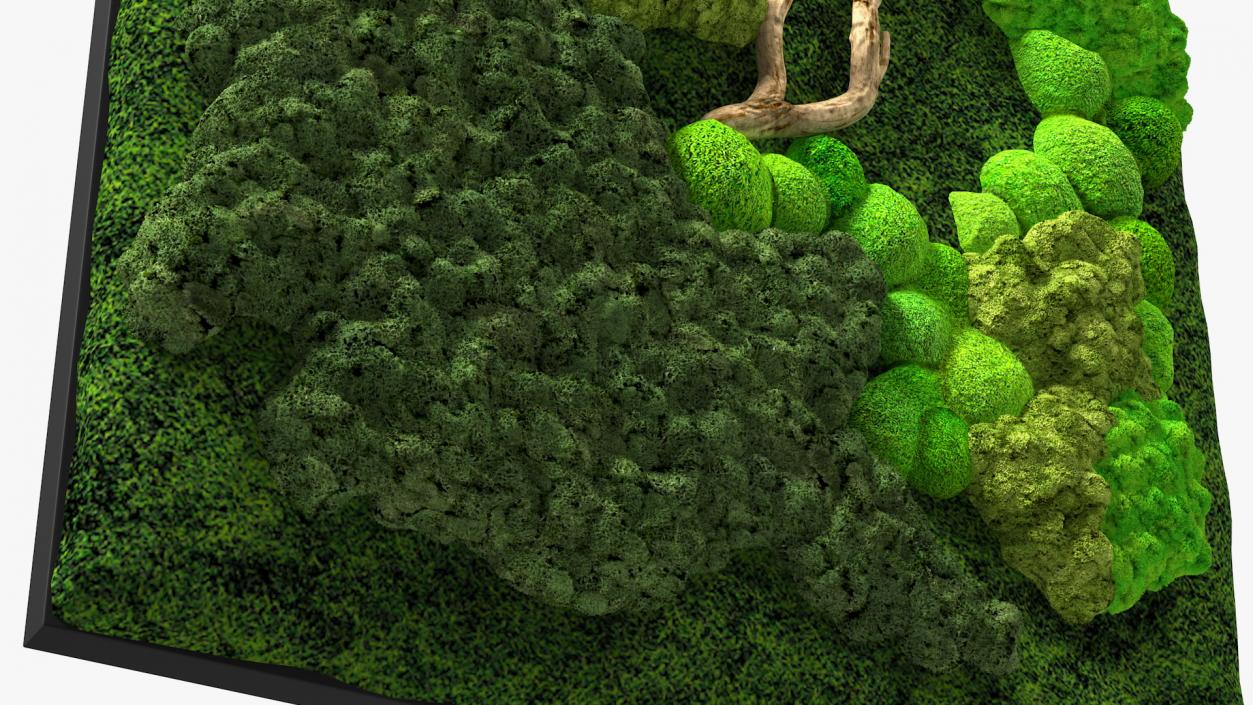 3D model Decorative Moss Wall