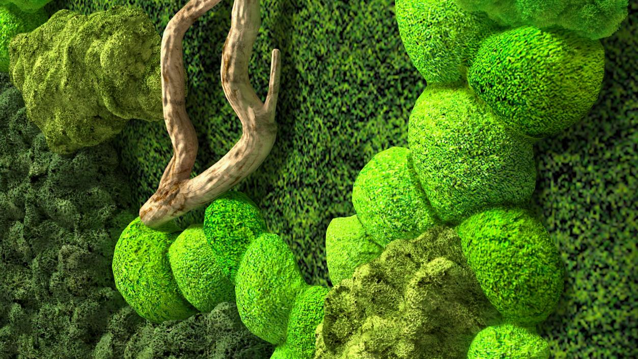 3D model Decorative Moss Wall