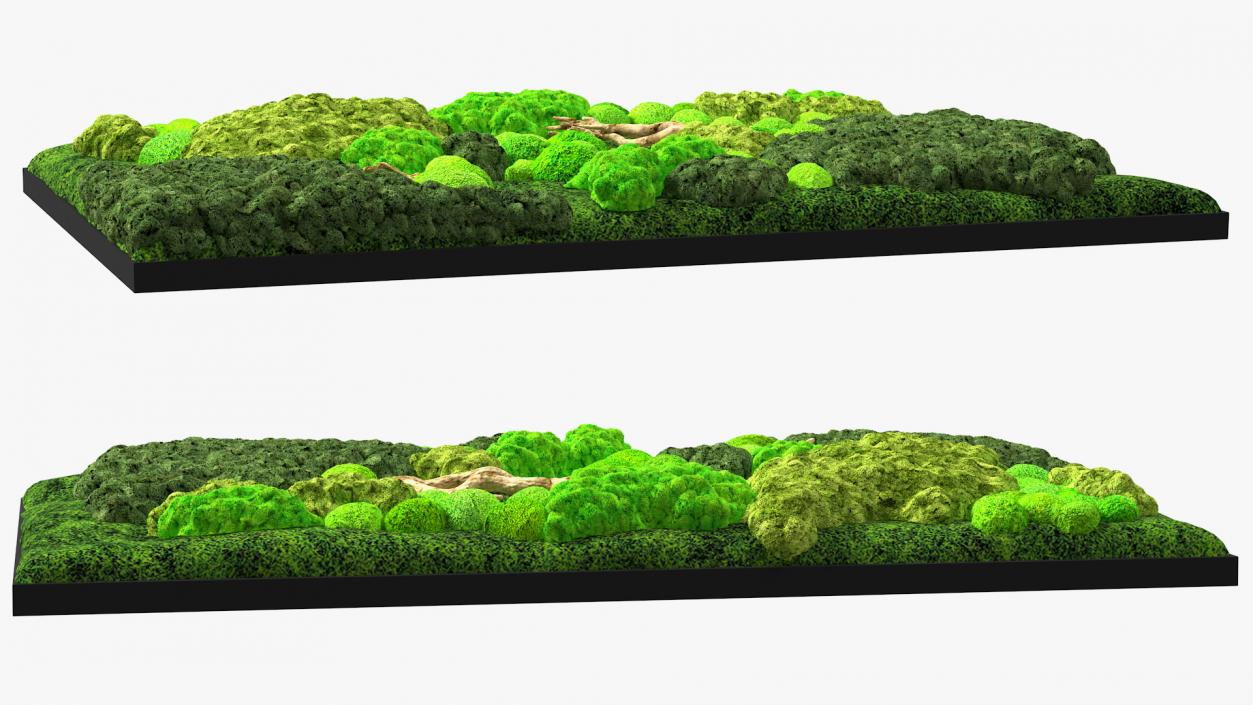 3D model Decorative Moss Wall