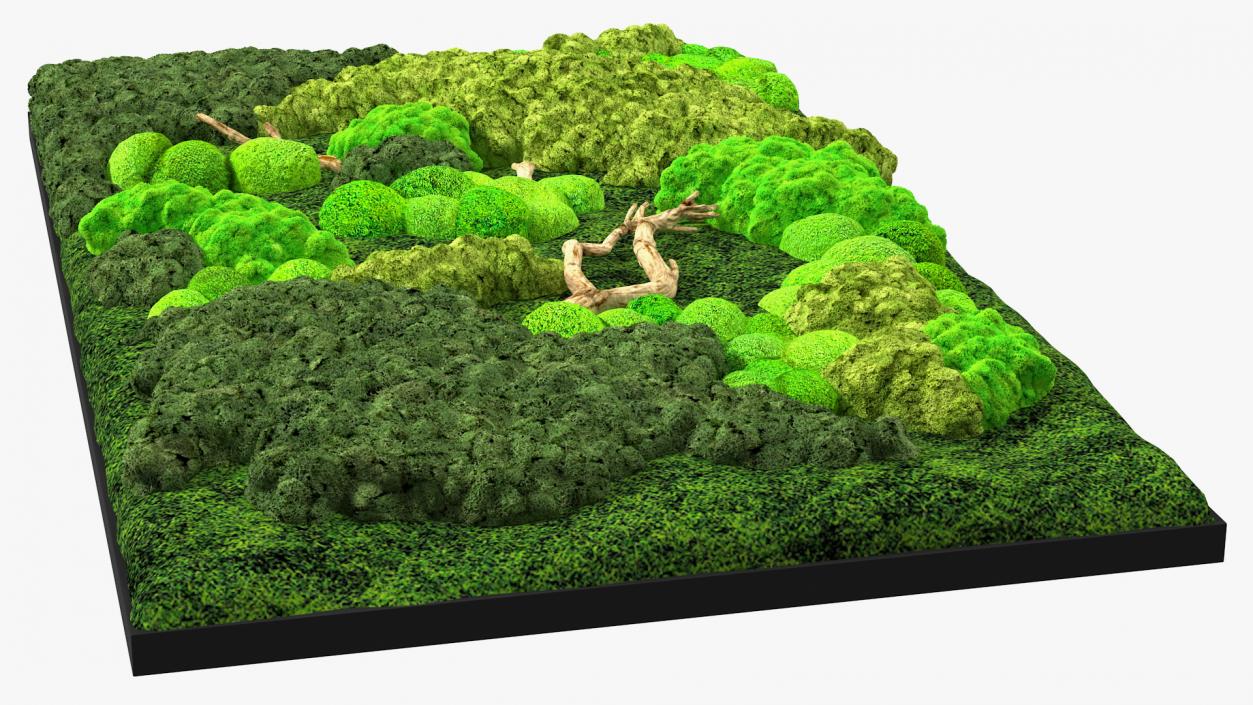 3D model Decorative Moss Wall