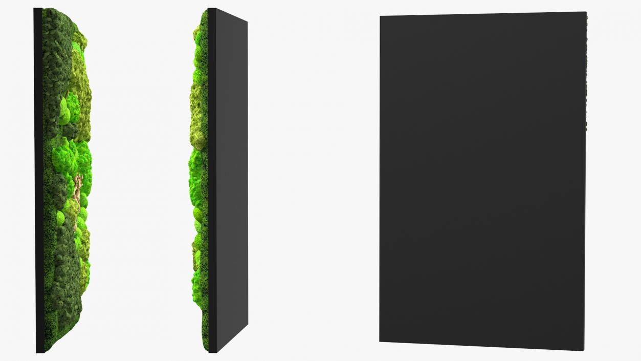 3D model Decorative Moss Wall