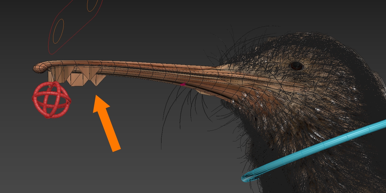 3D model Kiwi Bird Fur Rigged