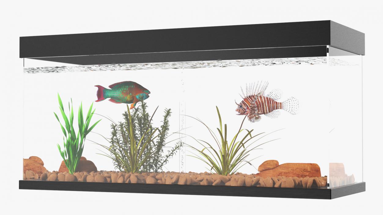 Aquarium Long Black 3D model