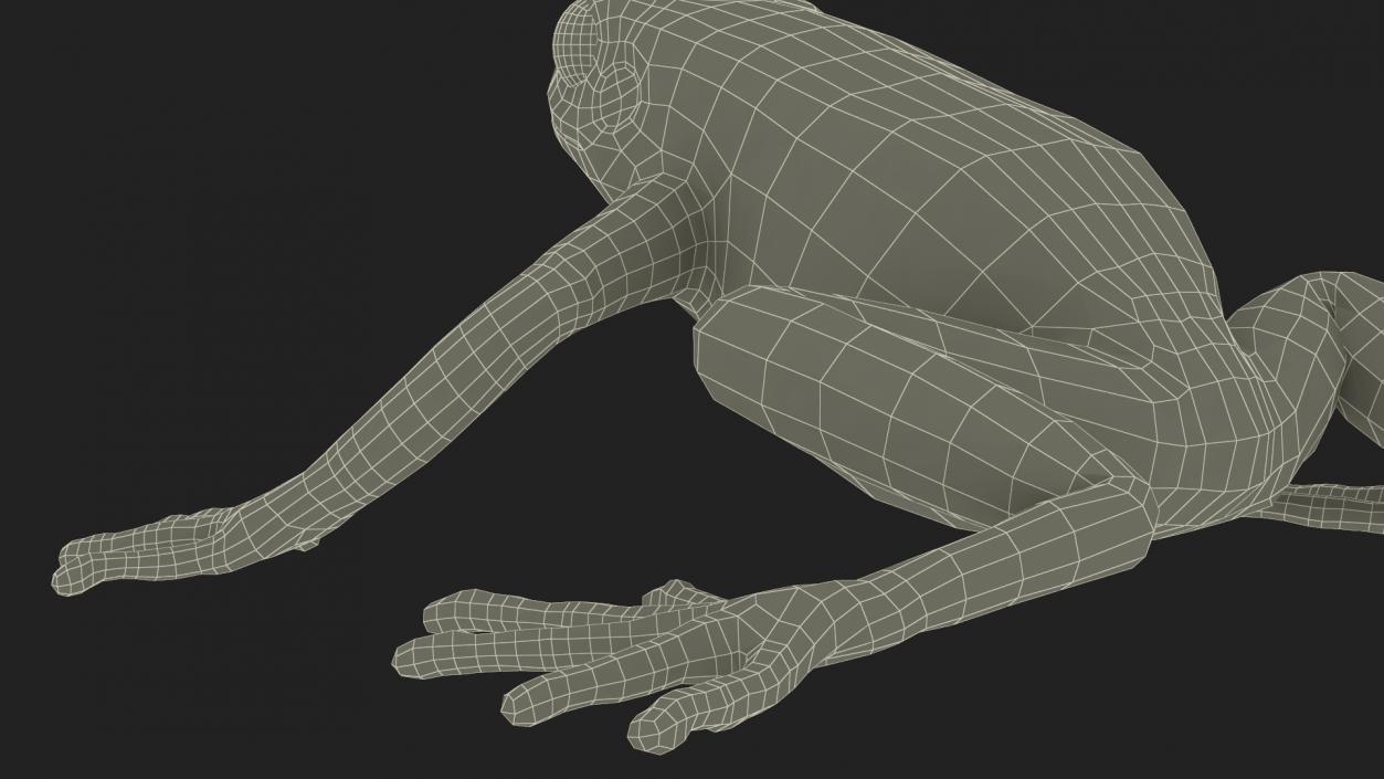 3D model Malagasy Poison Frog