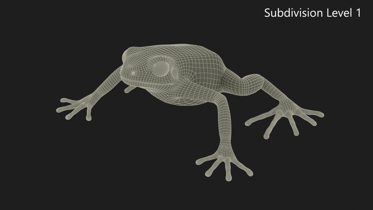 3D model Malagasy Poison Frog