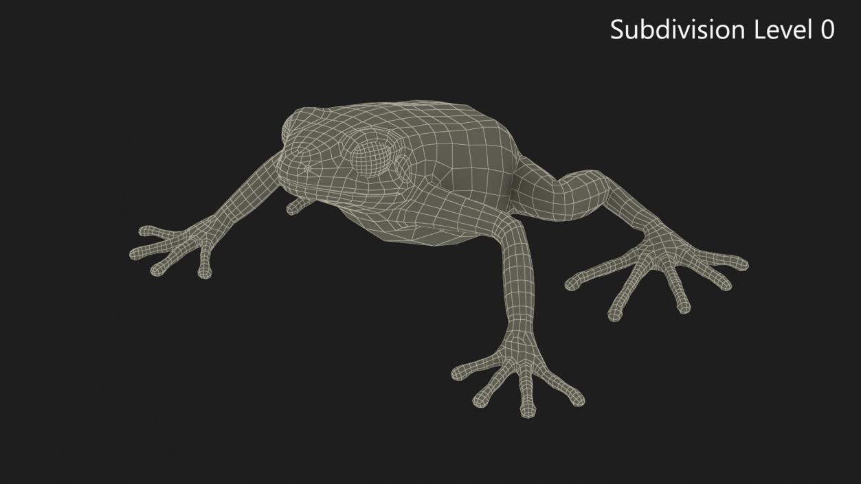 3D model Malagasy Poison Frog