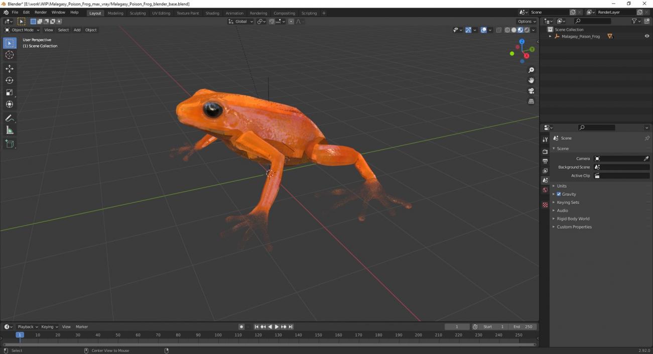 3D model Malagasy Poison Frog