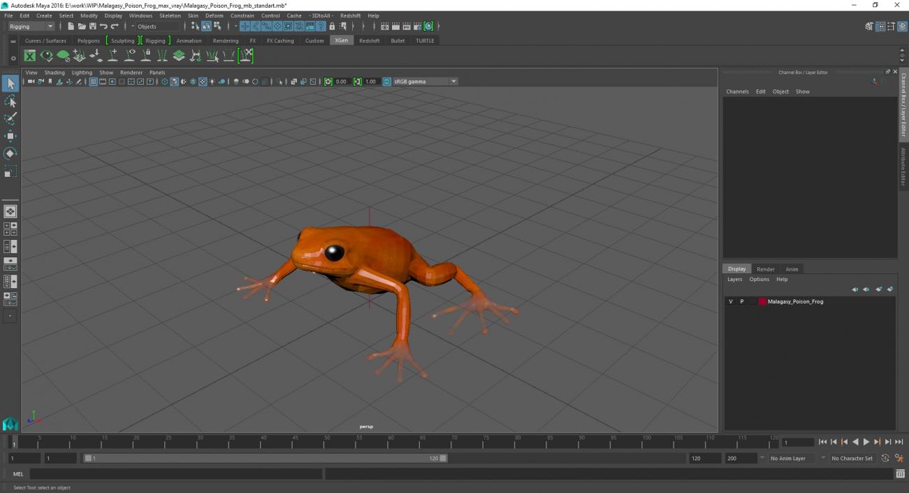 3D model Malagasy Poison Frog