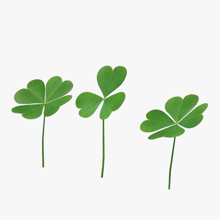 Green Clover Plant Set 3D