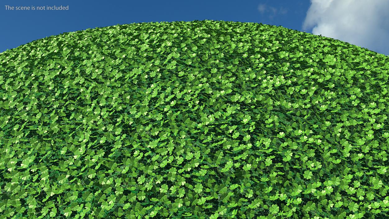 Green Clover Plant Set 3D