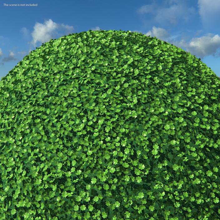 Green Clover Plant Set 3D