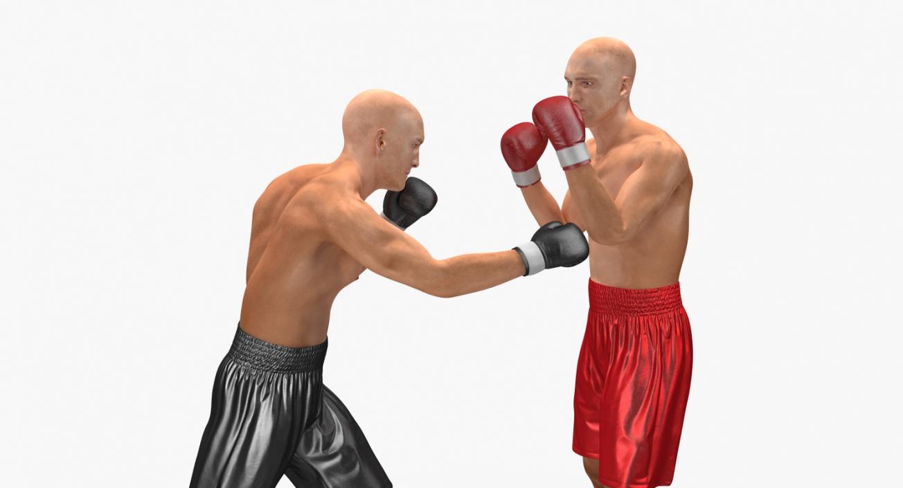 3D model Two Boxers