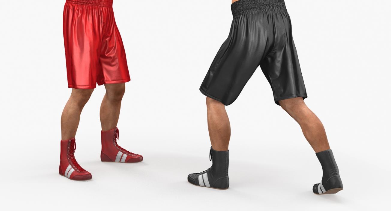 3D model Two Boxers