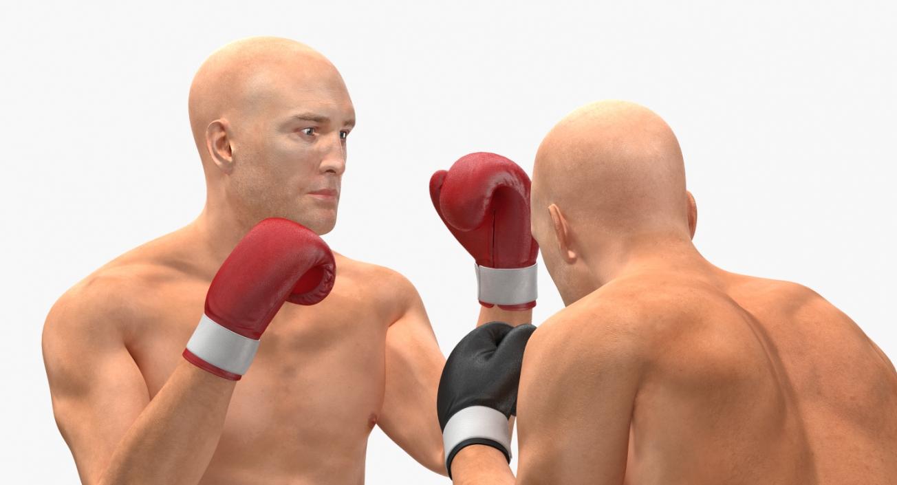 3D model Two Boxers