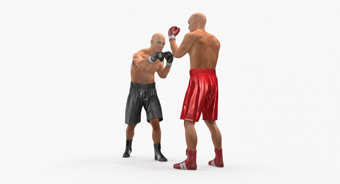 3D model Two Boxers